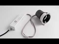 주도하는 스포트라이트