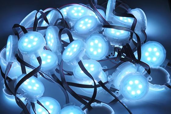 high Brightness 50mm 24v LED Point Light  for Outdoor Decoration