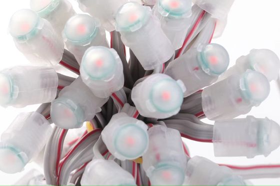 Permanent Exterior Holiday Decoration Lights Rgbic DC5V Jellyfish Permanent Christmas Light Outdoor Led Pixel Strings