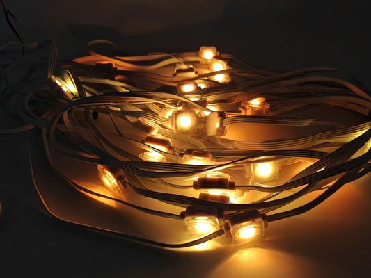 25mm permanent custom IP67 outdoor waterproof Christmas eaves light