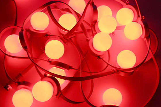 IP67 DMX512 Control LED Strip Light Bulb for Theme Parks Outdoor Landscape Decoration