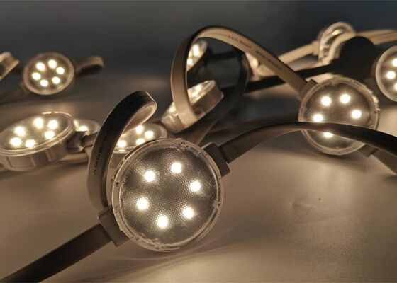 50mm IP67 Waterproof High Temperature Resistant LED Point Light for Outdoor Theme Park Decoration