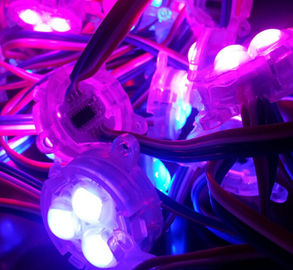 30mm SMD 5050 12V rgb는 풀 컬러를 가진 화소를 지도했습니다-----경험을 제조하는 11 년