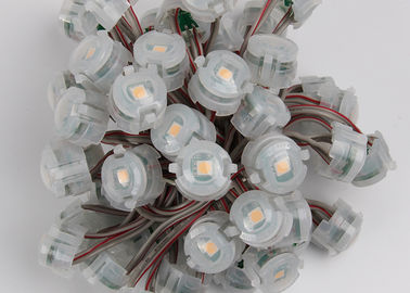 옥외 DC12V 20mm SMD 5050 IP67는 화소 크리스마스 불빛 2000mcd를 지도했습니다