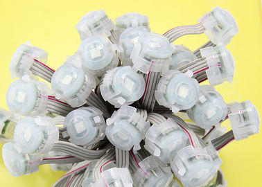 20mm 기적 콩 2년 보장을 가진 방수 LED 점 빛 0.3W