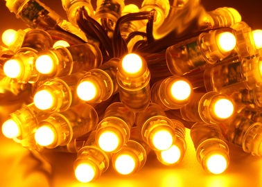 Epistar 03W 12mm 풀 컬러 RGB LED 화소 빛 DC5V는 보장 2 년 방수 처리합니다