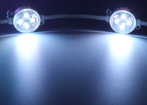 40mm RGB Pixel Point Light DMX512 IP67 Waterproof 120° Beam Angle UV Resistant