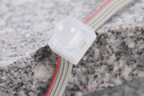 SMD5050은 화소 광 IP67 DC12V에게  0.3W 단색 방수 기적적 콩을 보내게 했습니다
