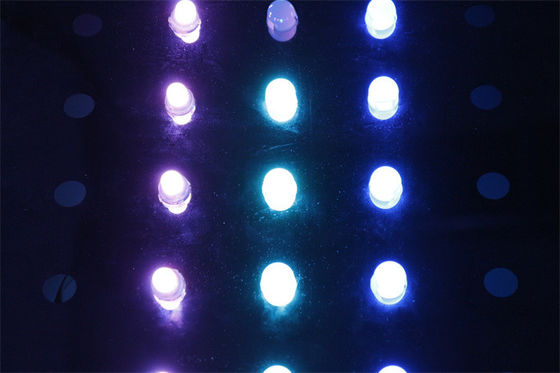 IP68 0.3W Waterproof 5V 12mm Square single color LED pixels LED point light source Christmas glow ball colored lights