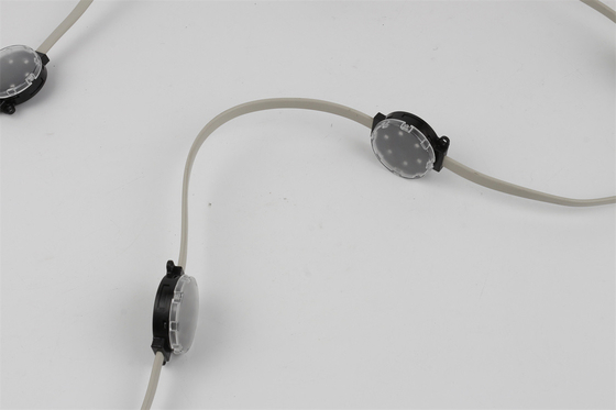 기적적 콩 DC24V 야외 방수 포인트 라이트 LED SMD3535 50 밀리미터