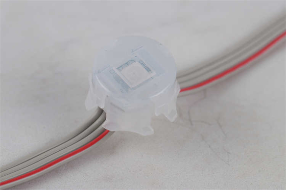 20MM 영구적 공휴일 빛 5050 Rgb 르그브더블유 1903년 2904 Dmx512 IC 발광다이오드 픽셀 포인트 라이트