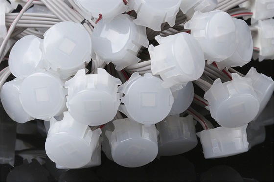 20mm 기적 콩 2년 보장을 가진 방수 LED 점 빛 0.3W