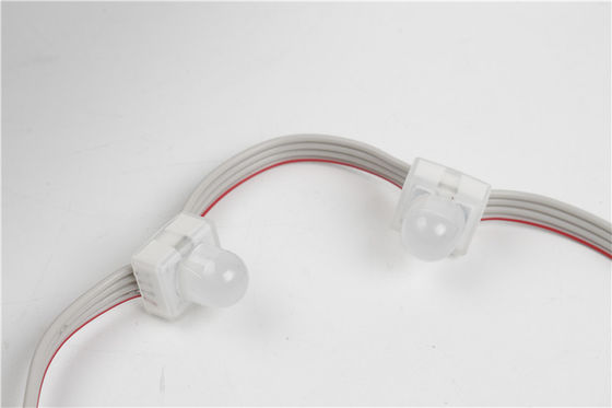 SMD5050 IP67 DC12V 0.3W 단일 색상 방수 LED 픽셀 라이트