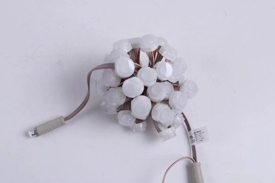 IP67 23mm LED 포인트 라이트