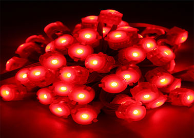 방수 0.25W 20mm 빨강 화소는 점화 12 볼트 LED 빛을 지도했습니다