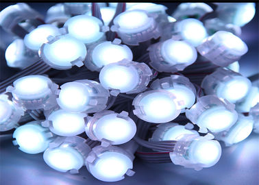 1개의 칩 5050 0.25w LED 점 빛 백색 단 하나 색깔 20mm 화소이라고 LED 주문을 받아서 만드는