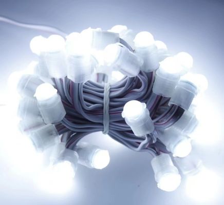 백색 LED 라이트 야외 방수 50 Leds DC 12V 9mm LED 픽셀 스트링 라이트