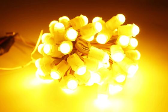 최신 디자인 야외 노란색 오락 픽셀 LED 12V 9MM 장식 LED 픽셀 라이트