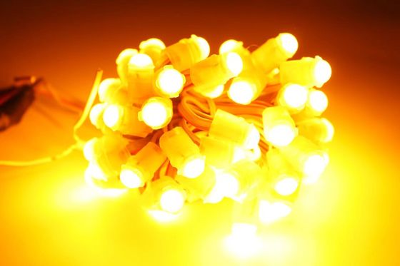 기적 콩 LED 크리스마스 장식 LED 포인트 라이트 단일 색상 LED 픽셀 라이트