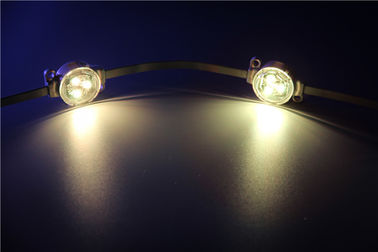방수 IP67 5050 SMD RGB 3pcs LED 점 빛 수명 30000 시간