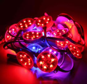 옥외 40mm는 50mm SMD3535 DMX 디지털 방식으로 RGB 방수 화소 IP67를 지도했습니다