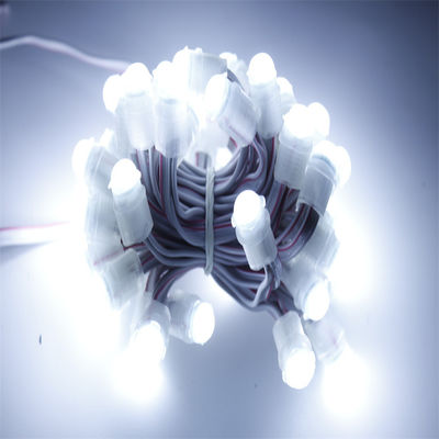 에피스타 DC 5V Ip67 0.3W 주소형 LED 라이트 스트링