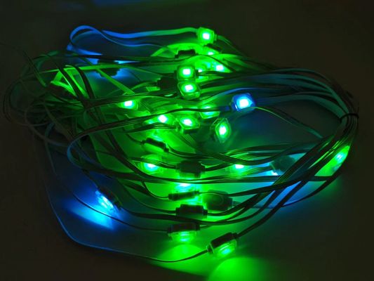 24V String Point Smart Eaves Lighting Holiday Ambilight 100ft RGBIC LED Permanent Eaves Light