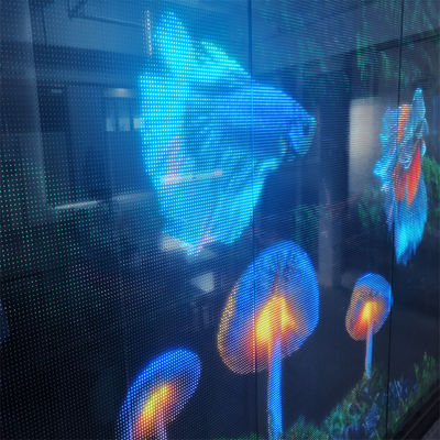 맞춤형 LED 투명 필름 화면 고해상도 P6 DC5V WE1314 RGB 광고용 비디오 벽