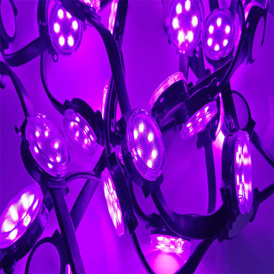도매 24v 4cm 직경 LED 픽셀 라이트 PC 재료 LED 크리스마스 휴가 RGBW 방수 1.5W