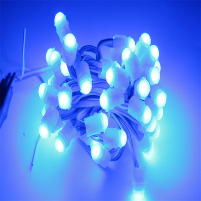 좋은 가격 IP67 방수 LED 픽셀 라이트 DC12V 0.2 W 160° 뷰 앵글과 30 000 시간 수명