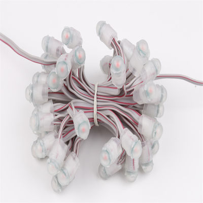 단일 컬러 9mm LED 노출 라이트 스트링