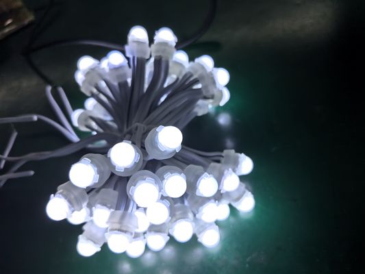 9cm PVC 점등 경관용 색상 LED 소스 및 SPI 제어