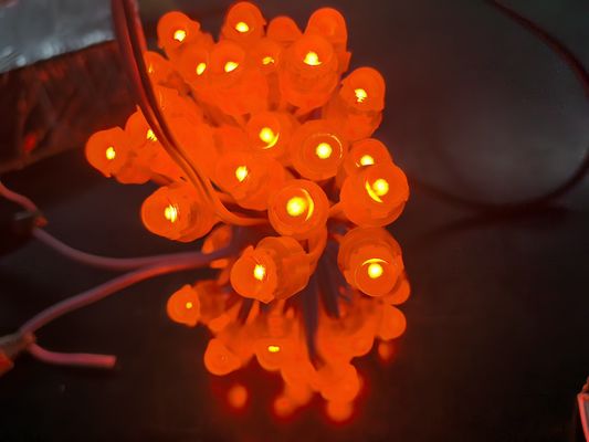 아크릴 LED 백라이트 RGBIC DC5V 수달 야외 장식을위한 크리스마스 조명