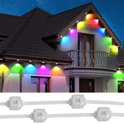 LED 포인트 빛 소스 야외 크리스마스 픽셀 빛 24V 높은 밝기 색상 IP67