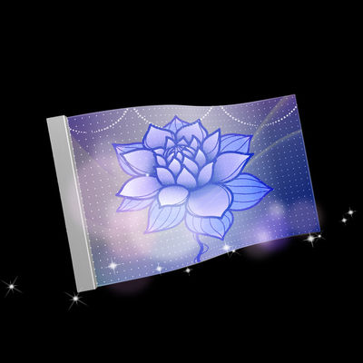 P10 플렉서블 LED 투명 필름 스크린 960mm*240mm