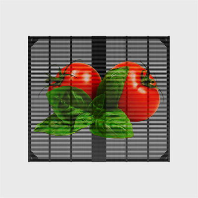 Waterproof  Indoor Grille Led Screen Easy Installation Transparent Mesh  LED Screen Display