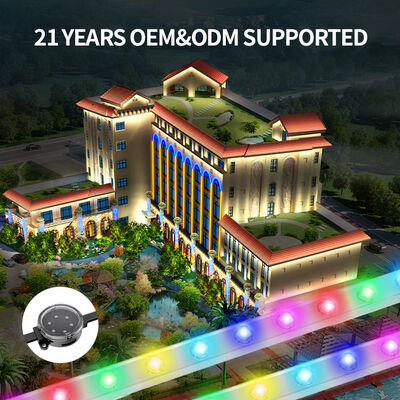 48V 장거리 전송 LED 포인트 라이트 3535 LED 칩 크리스마스 테마 파크 풍경 장식 야외 축제 조명 시스템