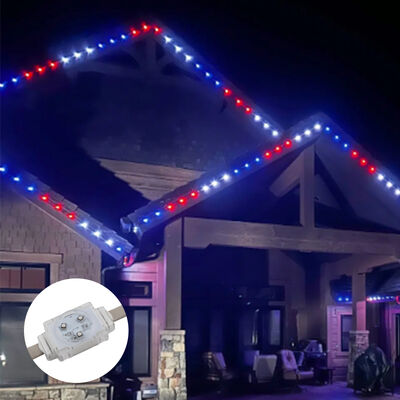 맞춤형 LED 점광원 IP67 DC36V 방수 2W 장거리 전송 장수 LED 조명 모듈