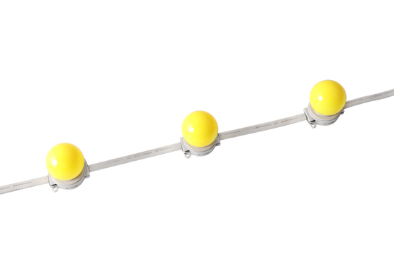 40mm IP67 방수 DC 24V LED Globe Light 야외 건축 조명용