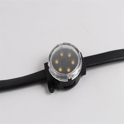 건축 조경 점화를 위한 80LM 높은 광도에 방수 50mm RGBW LED 점 빛 IP67
