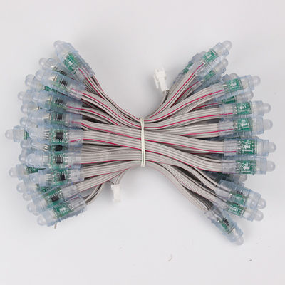 기적의 콩 12mm Rgb BIS 인증서 WS2811 1903 Led 픽셀 빛 RGB 방수 Led 문자열 5V 12V 50pcs