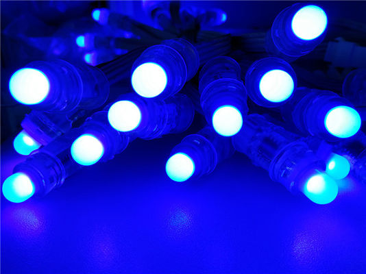 기적 콩 12mm 풀 컬러는 Rgb 화소 끈 BIS 증명서 Rgb 주소 지정이 가능한 화소가 12mm 5v 12v를 지도했습니다
