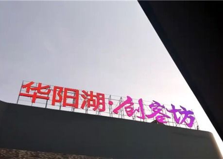 기적의 콩 Rgb 픽셀 Led 빛 Led 픽셀 Rgb Led 픽셀 BIS 인증서 프로그래밍 가능한 12mm Rgb Led 크리스마스 조명